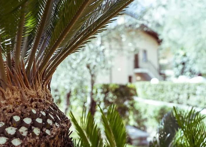 Ilma Garda Limone sul Garda